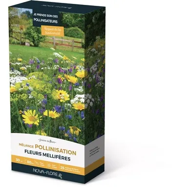 [1001699] Prairie fleurie amis du jardin 30 M² - Pollinisation