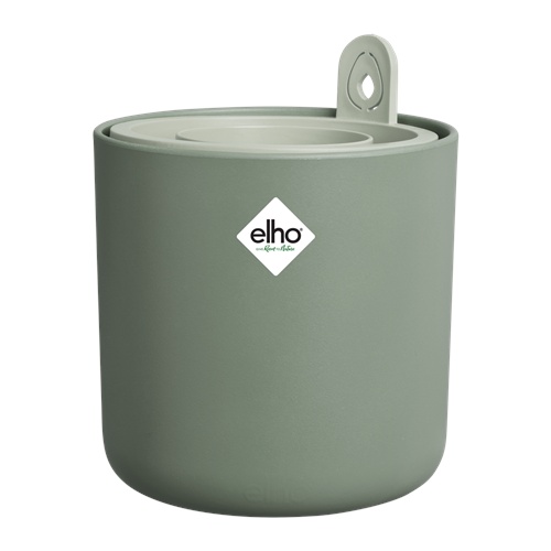 amazing avocado pot leaf green