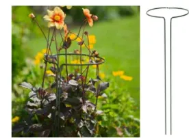 [1002097] Porte plante modul. 100XØ30cm