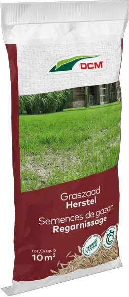 [1002309] DCM Semences gazon regarnissage - 10m²