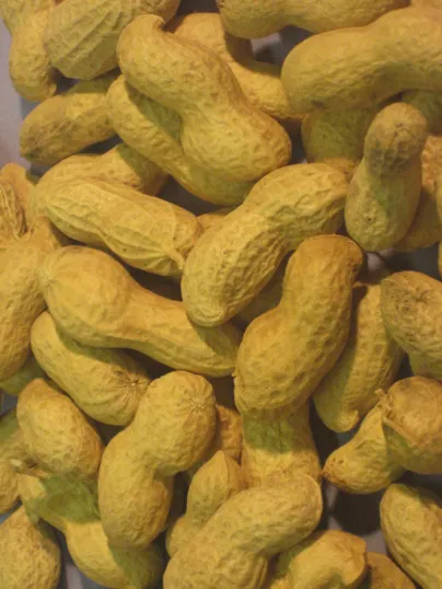 Arachides - cacahuètes Entière 0.9 kg
