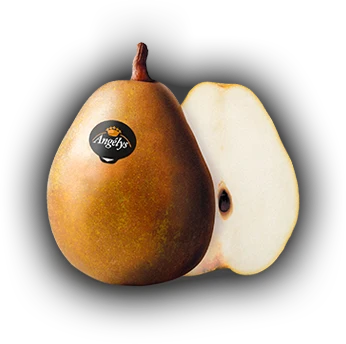 Poirier Angelys Buisson fort Pot C10. Prêt à produire ** Variété résistante **