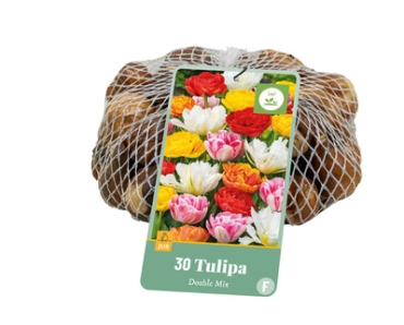 [1002630] Tulipe Double Mix * 30pc Cal. 11/12