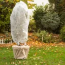 Feutre d'hiver 1x10m 30grs/m²