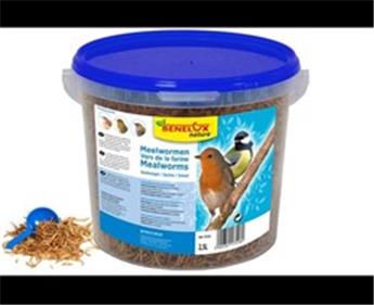 [131409] Vers de farine seché seau 10 litres KINLYS