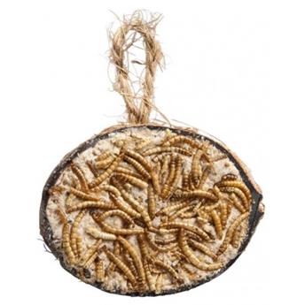 [145217] Demi noix coco garnie de vers de farine
