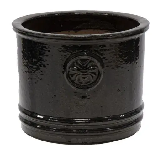 [145054] Glazed Bumble Bee Cylinder Shiny Black D20H14