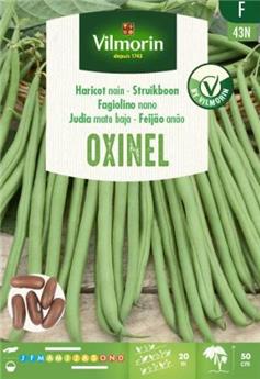 [131873] Haricot Nain à Filet Sans Fil Oxinel 30g (Vilm)