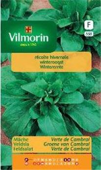 [131853] Mâche Verte De Cambrai 15g (Vilm)