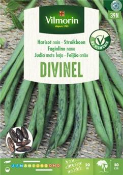 [131939] Haricot Nain À Filets Sans Fil Divinel 100g (Vilm)