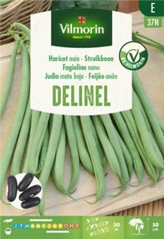 [131937] Haricot Nain à Filet Sans Fil Delinel 125g (Vilm)