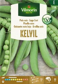 [137146] Pois Nain à Grain Ridé Kelvil 150g (Vilm)
