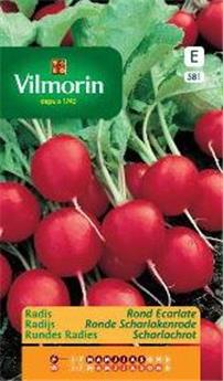 [138176] Radis Rond Ecarlate 30g (Vilm)