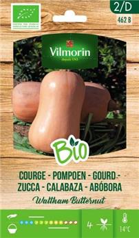 [138184] Courge Butternut BIO (Vilm)