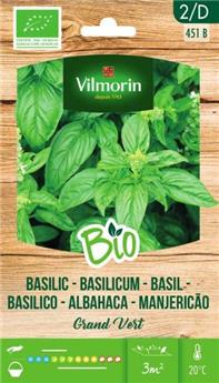 [138181] Basilic Grand vert BIO (Vilm)