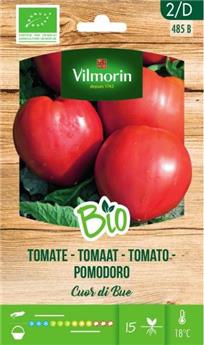 [138190] Tomate Cuor Di Bue BIO (Vilm)