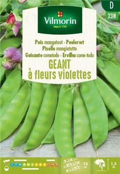 [139030] Pois Mangetout Rames Géant à fleur Violette 125g (Vilm)