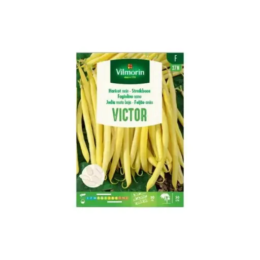 [139154] Haricot Nain à Filet Sans Fil Victor 100g (Vilm)