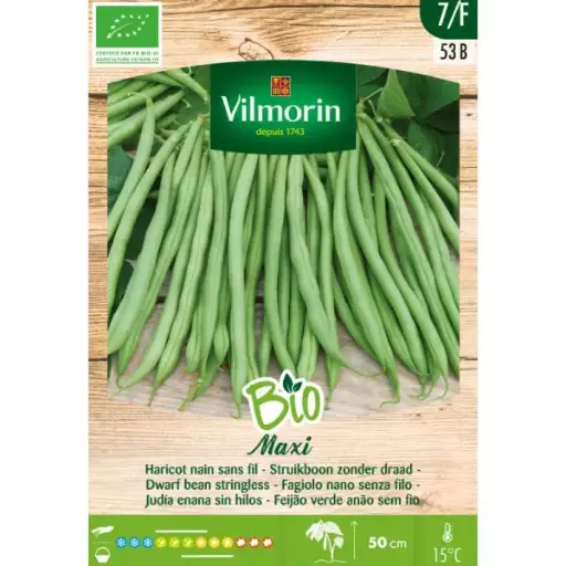 [139144] Haricot Nain Fins Maxi BIO (Vilm)