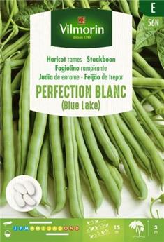 [140878] Haricot à Rame Perfection Blanc - SE