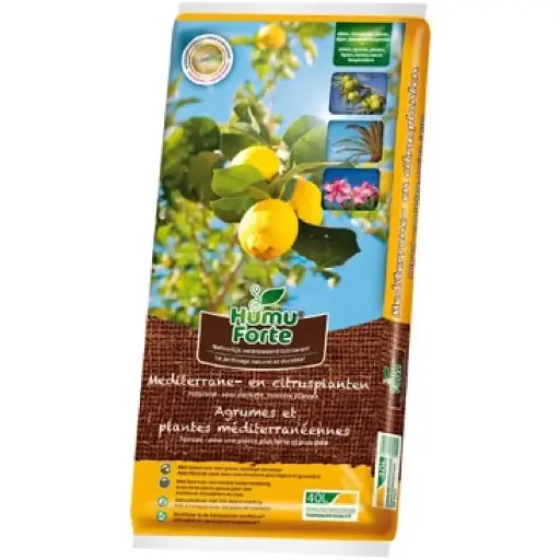 [129621] HumuForte Terreau 40 l agrumes orangerie