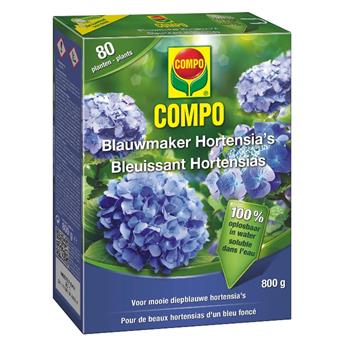 [122890] Compo bleuissant hortensias 800 gr