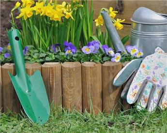 [104728] Bordure bois ETROIT 5 L 200 Ht 40 cm en rouleau (FSC)