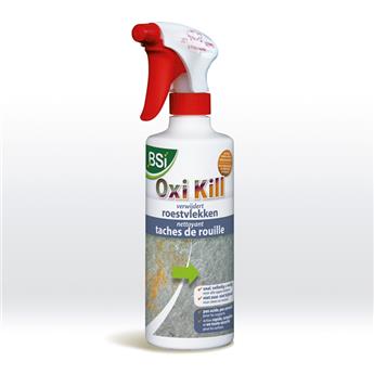 [133905] BSI Nettoyant Taches de rouille