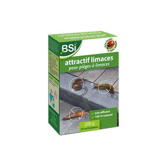 [118720] BSI Attractif limace