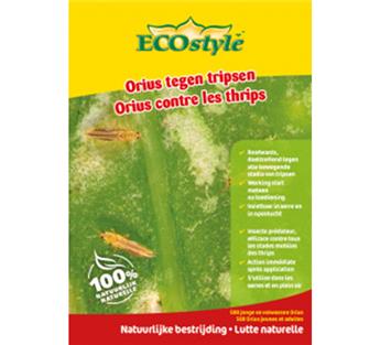 [141473] Orius contre les thrips 500 st-pcs Ecostyle BIO