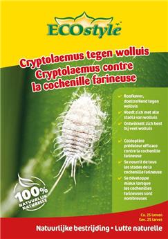 [141476] Cryptolaemus contre la cochenille farineuse 25 st-pcs Ecostyle BIO
