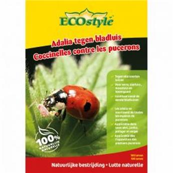 [141480] Coccinelles (Adalia) contre pucerons 100 larves Ecostyle BIO
