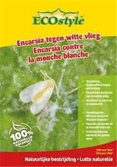 [141475] Encarsia contre la mouche blanche 500 larves st-pcs Ecostyle BIO