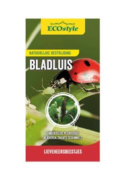 [141479] Coccinelles (Adalia) contre pucerons 50 larves1 Ecostyle BIO