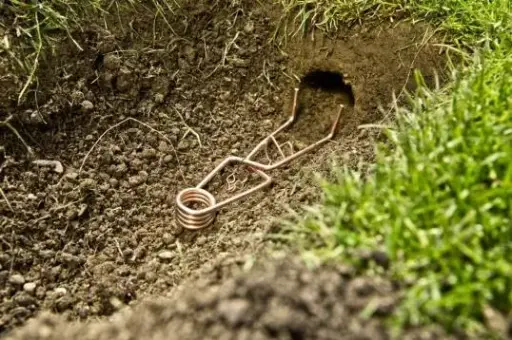 [113627] Pieges à taupe cuivre pince * 2 pc type pro