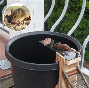 [144621] Piege tremplin pour souris et rats capture vivant