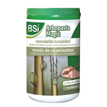 [129780] BSI Arbopasta 1kg pâte cicatrisante et de greffe