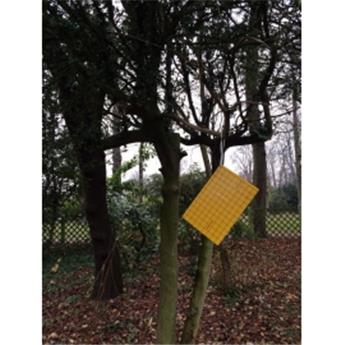 [142697] GreenProtect Plaques Englués Jaunes
