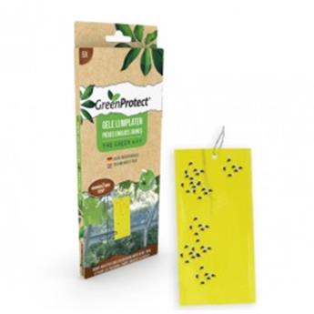 [102249] Pieges Collants Jaunes BIO Plantes intérieur Edialux