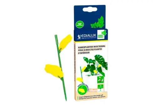 [137056] Piege insecte en pot Green Protect 