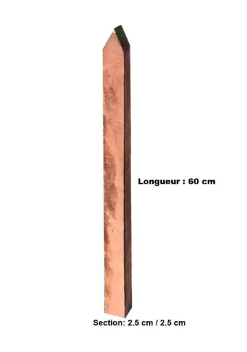[145197] Piquet azobe 2.5 2.5 60 cm