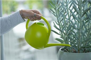 [144287] Arrosoir 1.8 litres plastique Vert Clair Outside
