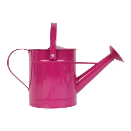 [136277] Arrosoir Violet métal 1.6 litres