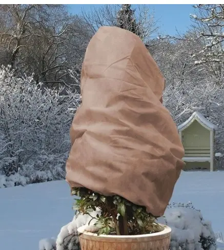 [145341] Housse hivernage L130 cm Ht 160cm  50 gr/m²