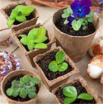 [125502] Pots carrés 6 cm - 16 x pc biodégradable