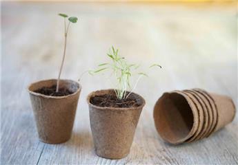 [100004] Pots ronds 8 cm * 15 pc biodégradables