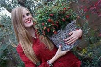 [133450] Vaccinium viti idea Miss Cherry P11-13 - Airelles