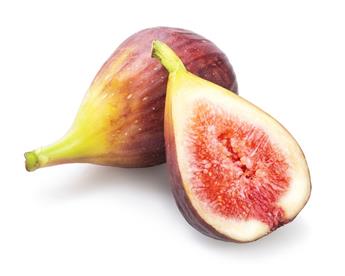 [145243] Ficus carica Gustissimo Perrata Buisson Pot C3-5