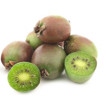 [132422] Actinidia arguta Red Jumbo ** Kiwai Femelle **