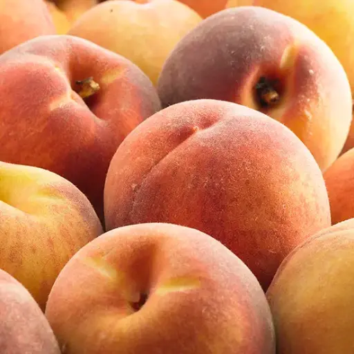 [140687] Pêcher Dixired Demi Tige ** Autofertile **